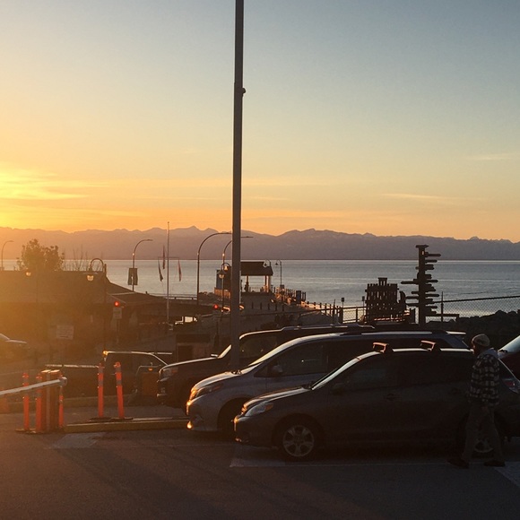 Meet your Posher, Juniper - Picture 1 of 1